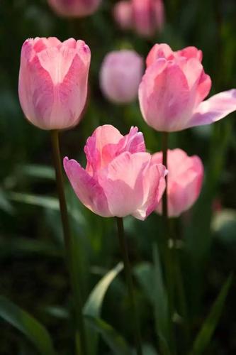 工艺品 将虚无化为实有