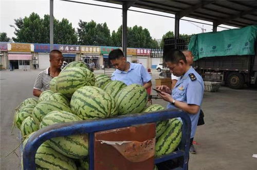 山东莱州 三项制度 护航农批市场食品安全