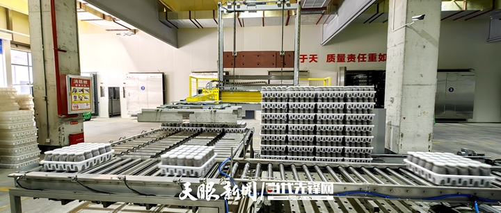 “育-产-销”开启食用菌全链建设 贵阳花溪区工厂化智能生产进“菌”未来